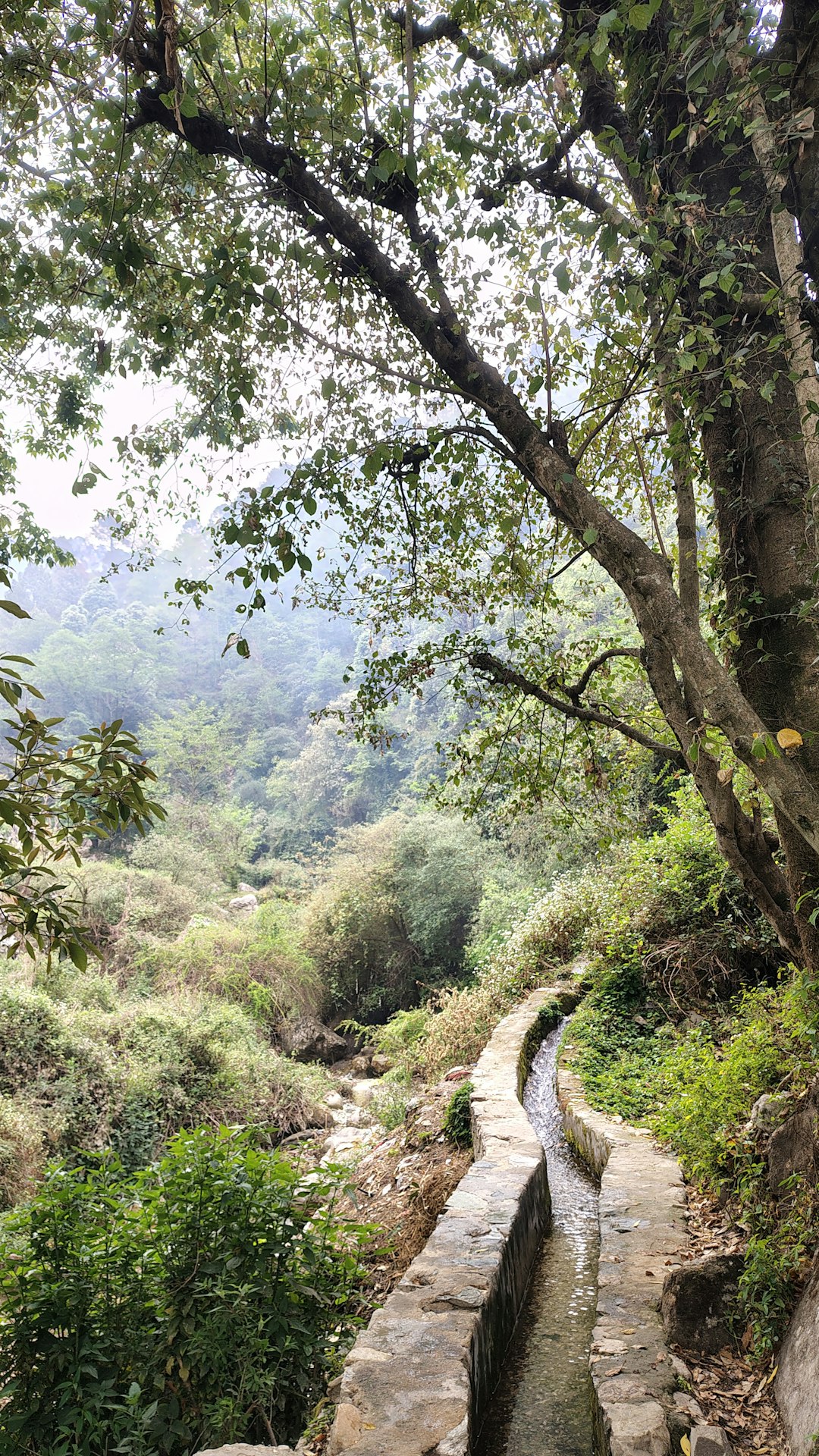 a-stone-aqueduct-carries-water-through-a-lush-green-landscape-gifgy3hxa54